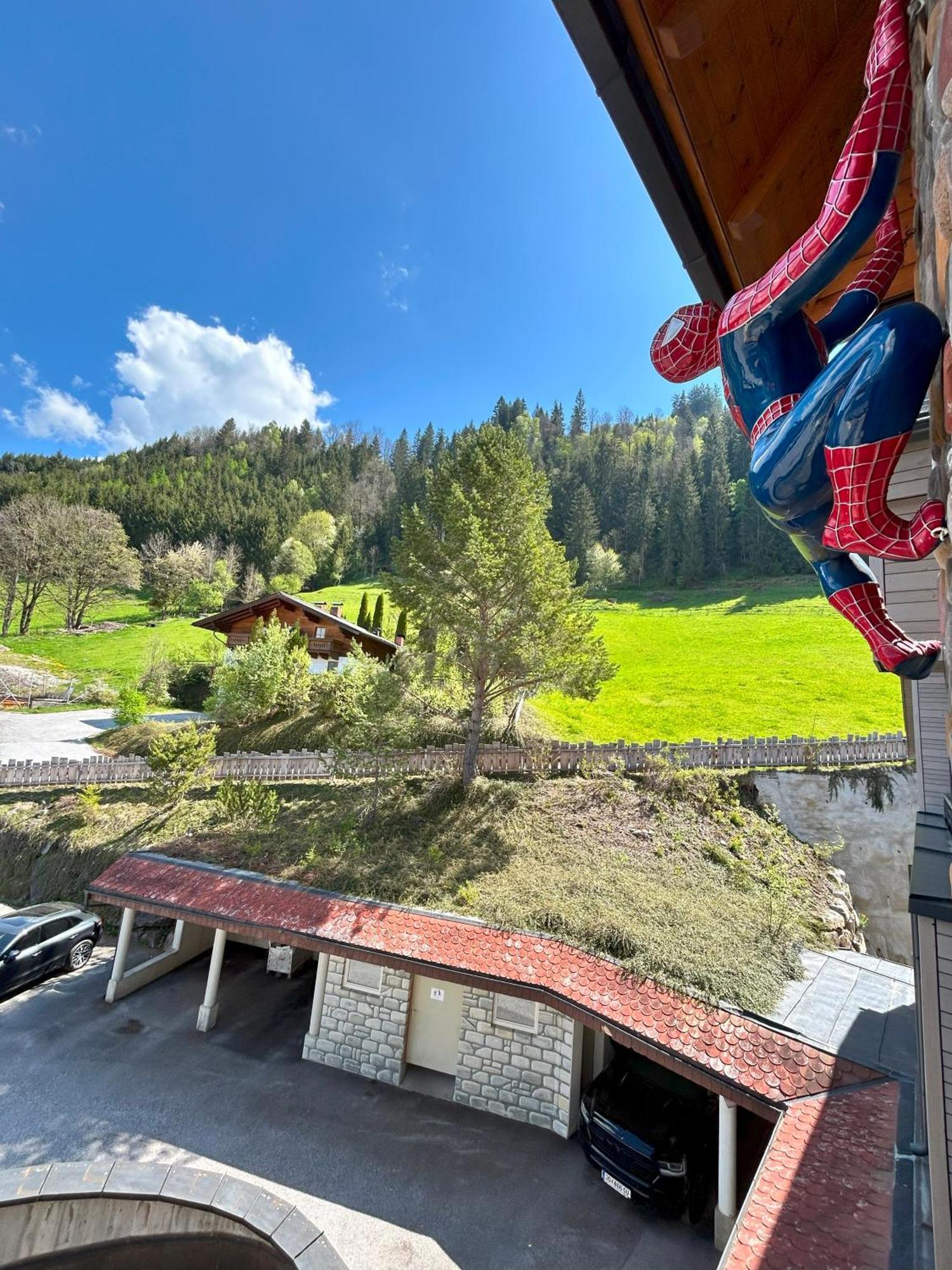 Weitenmoos Panorama Apartments Sankt Johann im Pongau Exteriér fotografie